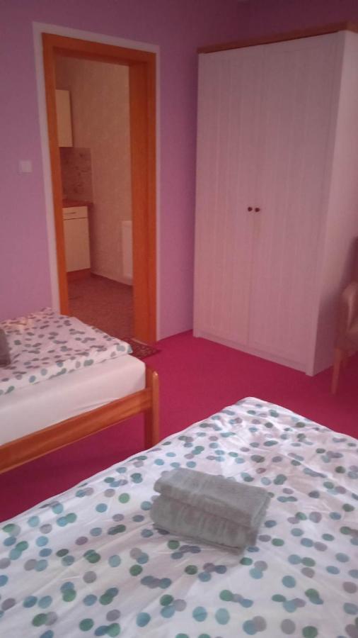 Ubytovani V Soukromi Na Podluzi Josefov Extérieur photo